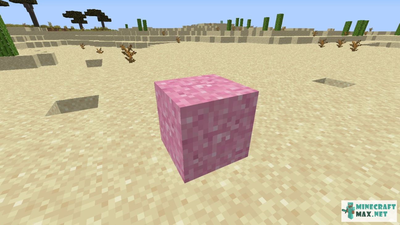 Modem in Minecraft | Screenshot 2725