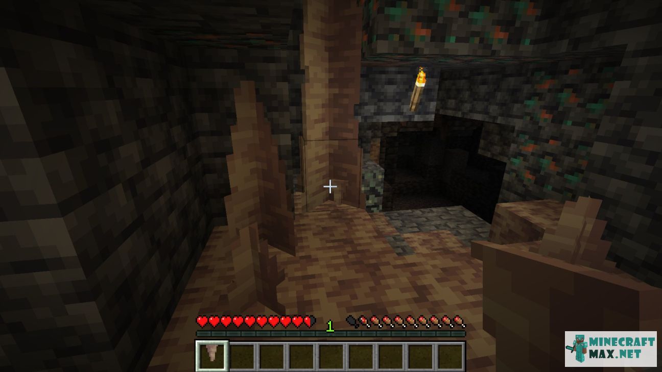 Black gem in Minecraft | Screenshot 3339