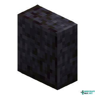 Vertical Polished Blackstone Slab in Minecraft