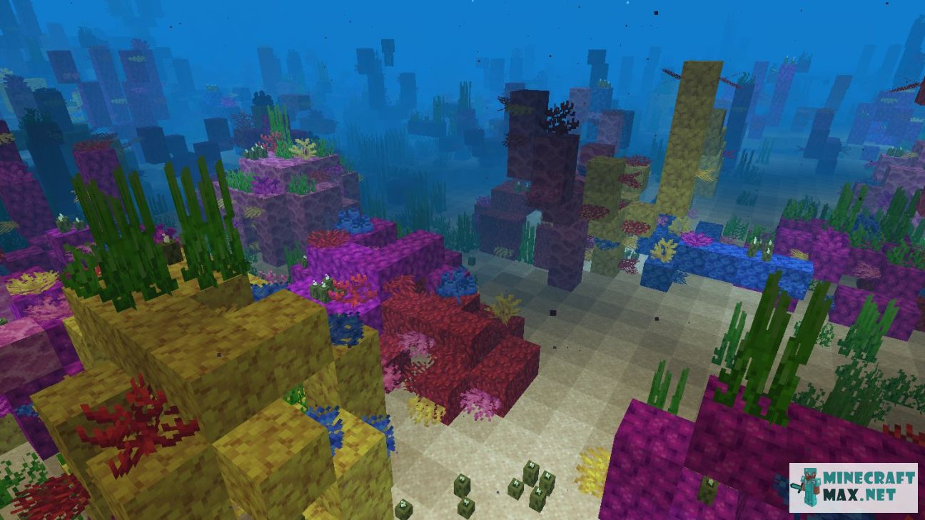 Brain Coral in Minecraft | Screenshot 2
