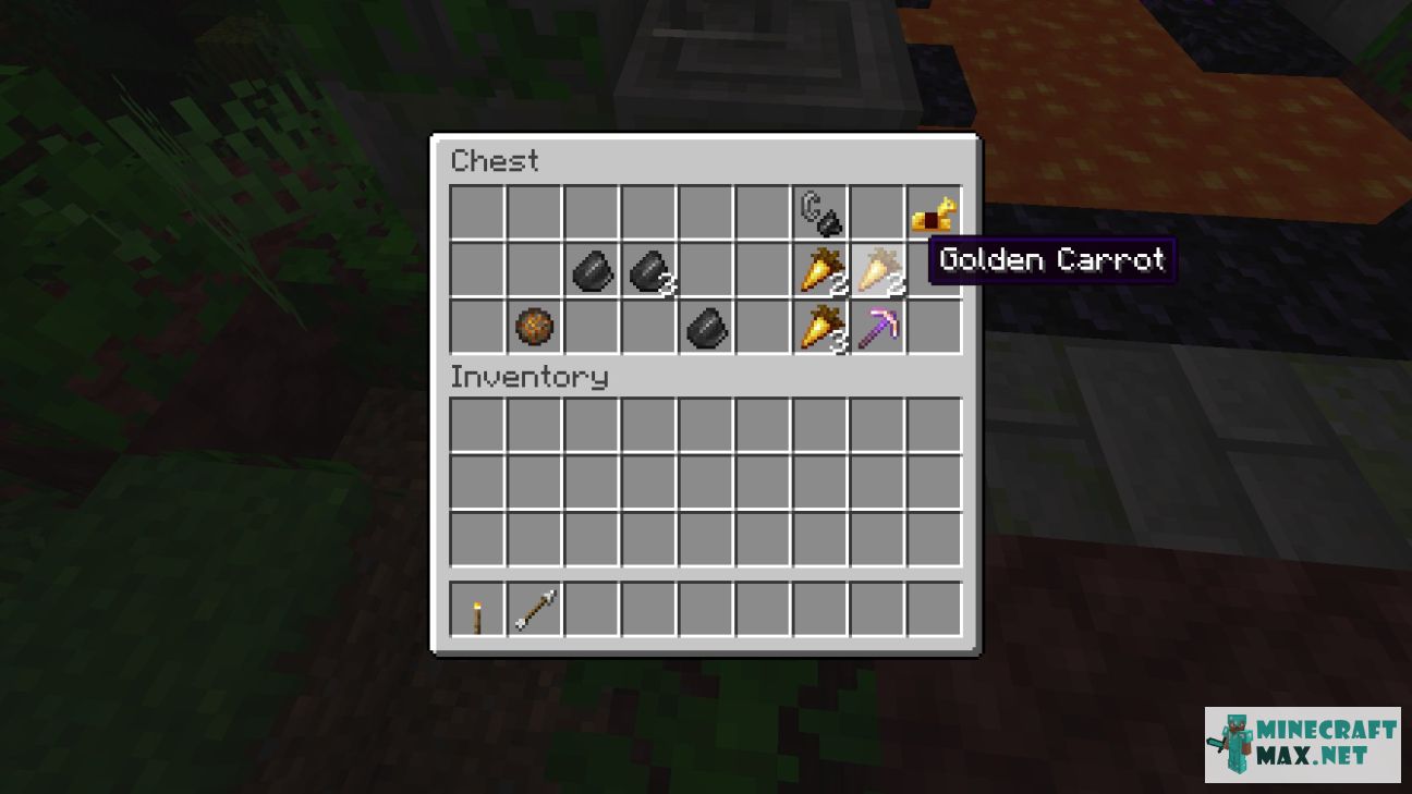 Black gem in Minecraft | Screenshot 97