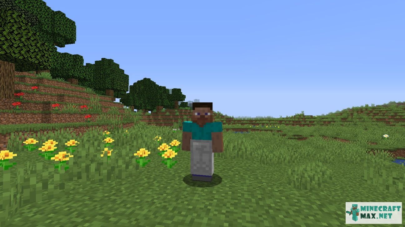 Modem in Minecraft | Screenshot 382