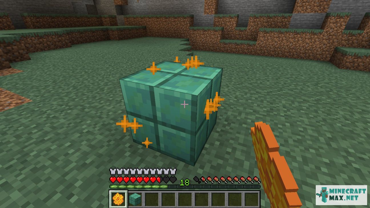Black gem in Minecraft | Screenshot 3381