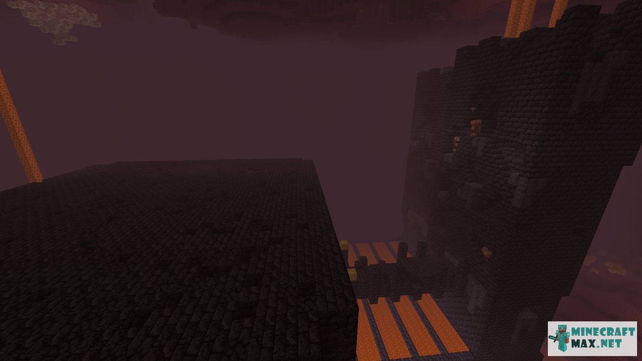 Black gem in Minecraft | Screenshot 3071