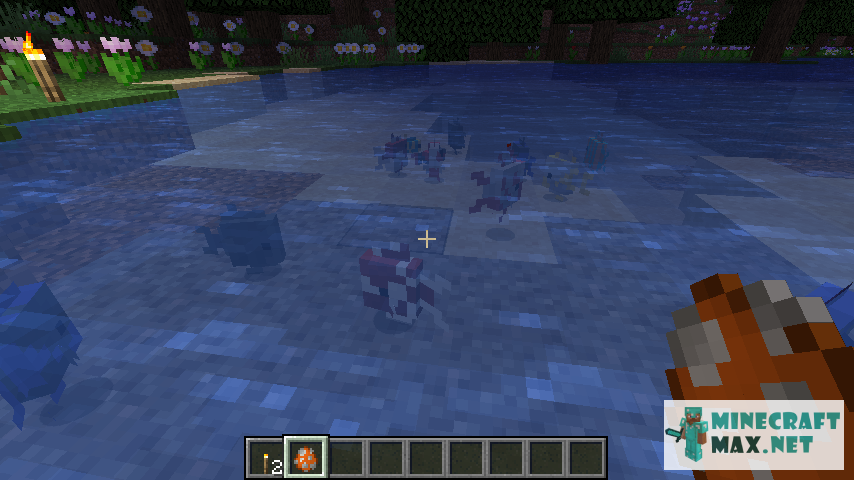 Tropical Fish Spawn Egg in Minecraft | Screenshot 1