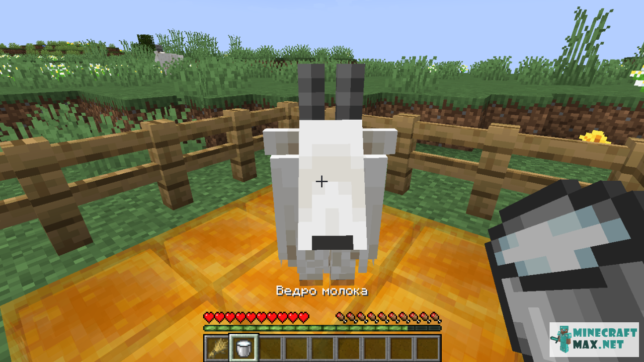 Veiciet uzdevumu Подоить козу programmā Minecraft | Screenshot 7
