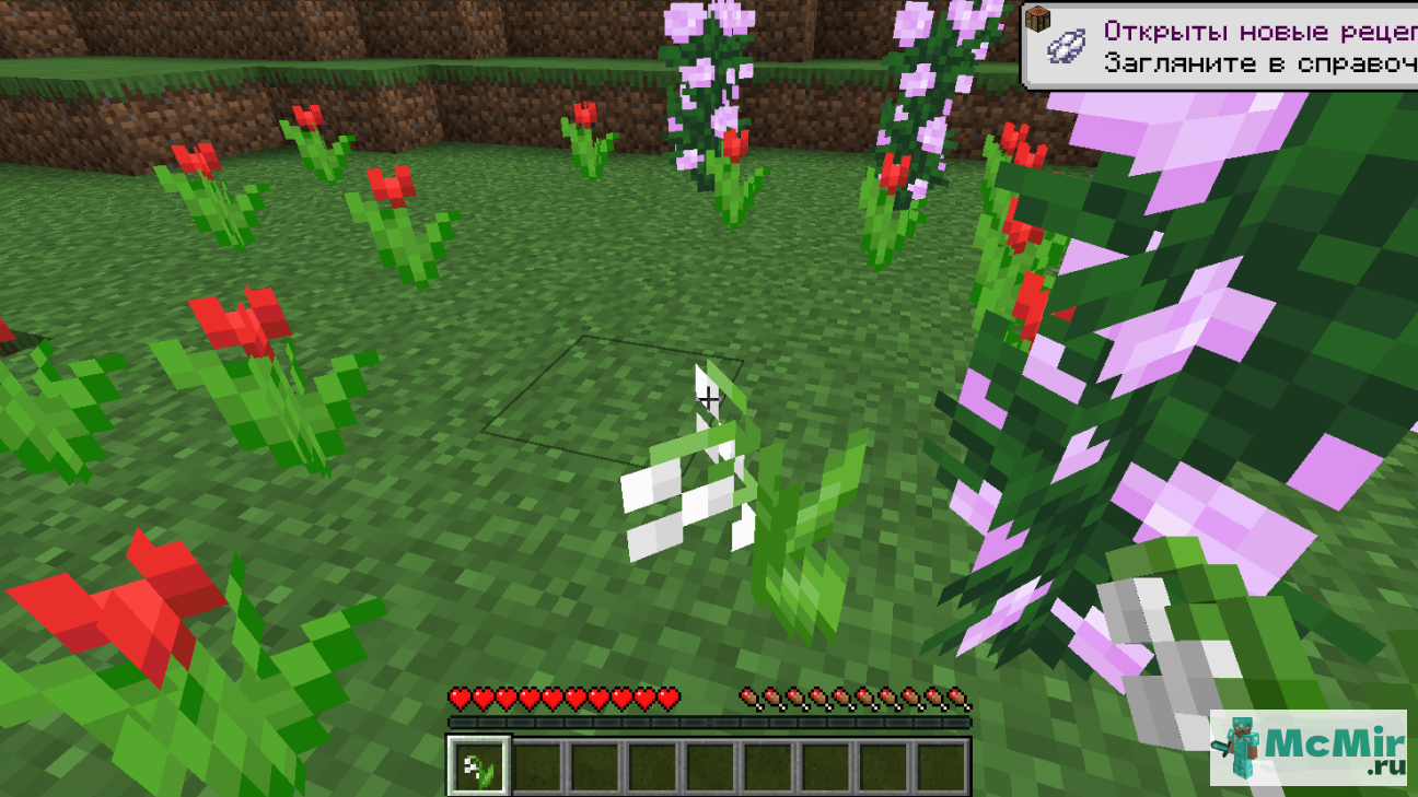 Квест Найти цветок ландыша в Майнкрафт | Screenshot 4