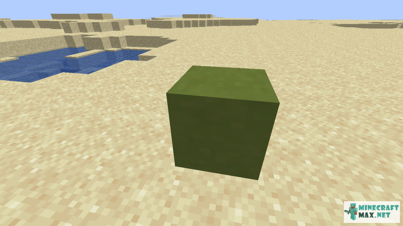 Black gem in Minecraft | Screenshot 1090