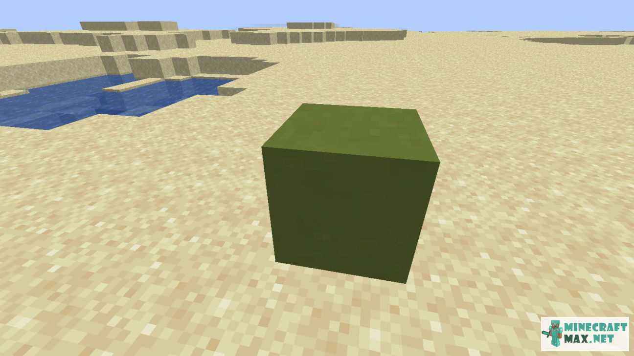 Modem in Minecraft | Screenshot 1092