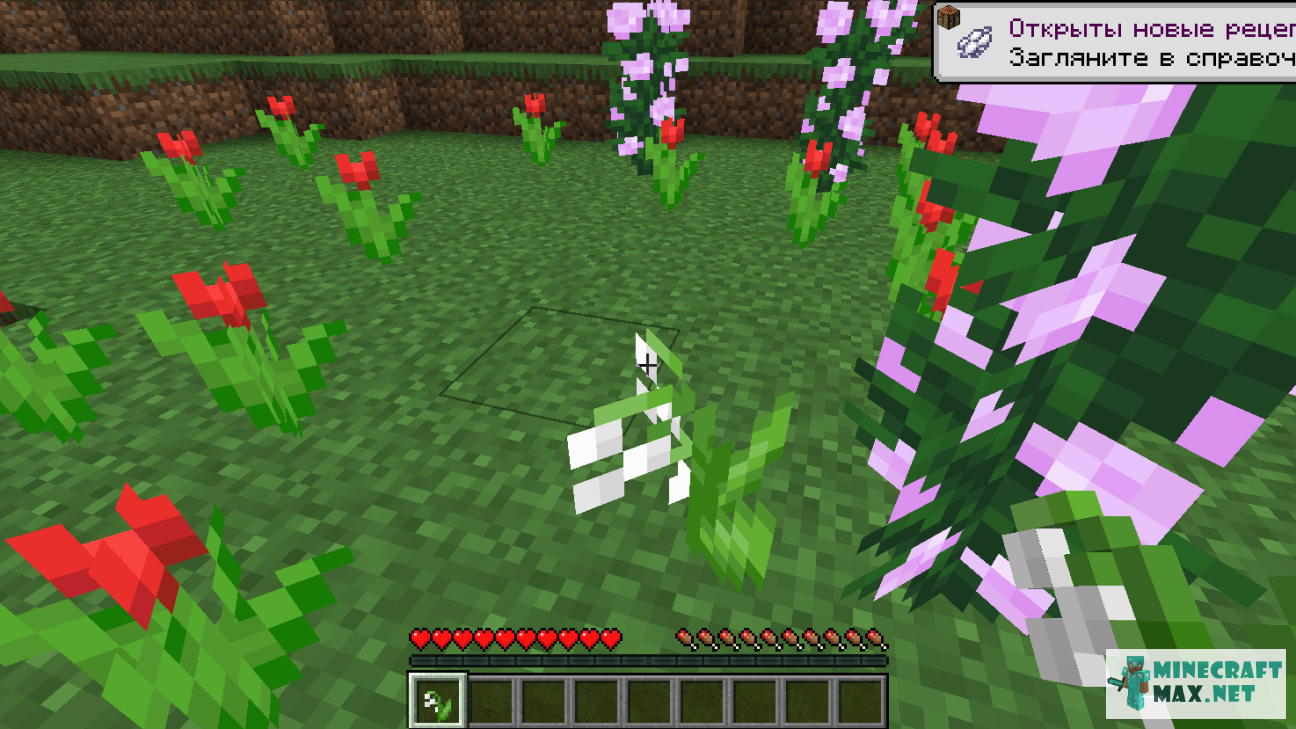 Veiciet uzdevumu Найти цветок ландыша programmā Minecraft | Screenshot 4