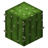 Cactus in Minecraft