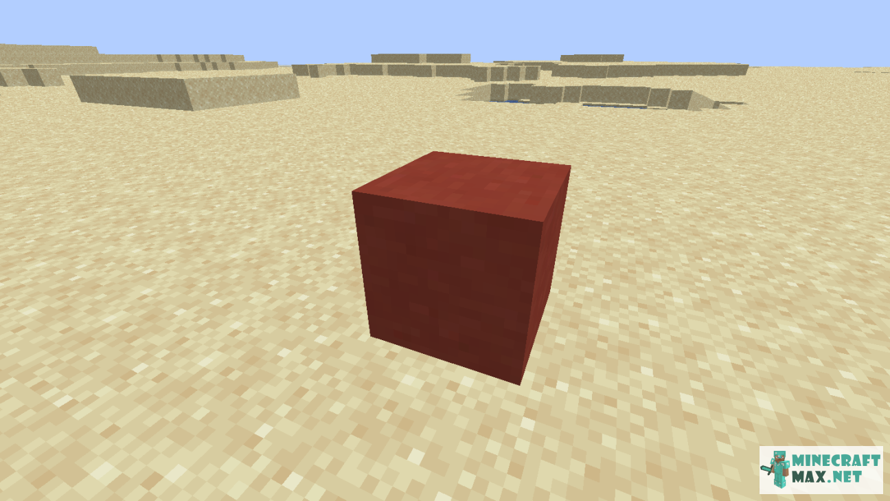 Black gem in Minecraft | Screenshot 1161