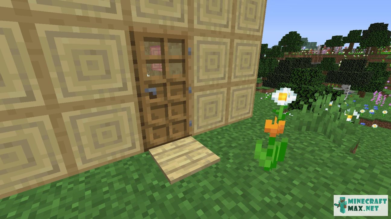 Modem in Minecraft | Screenshot 2206