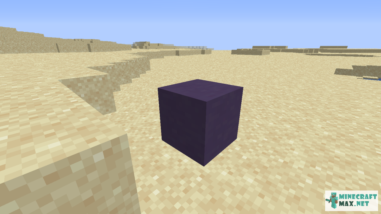 Black gem in Minecraft | Screenshot 1157