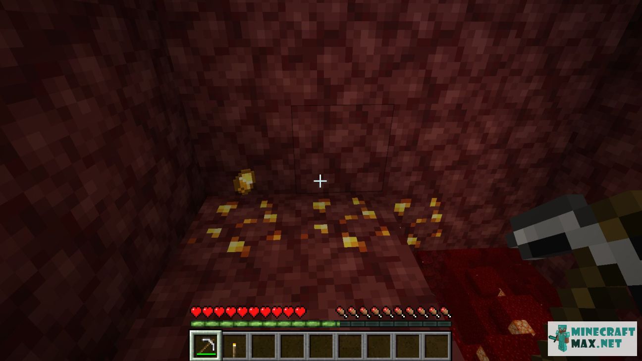 Black gem in Minecraft | Screenshot 2094