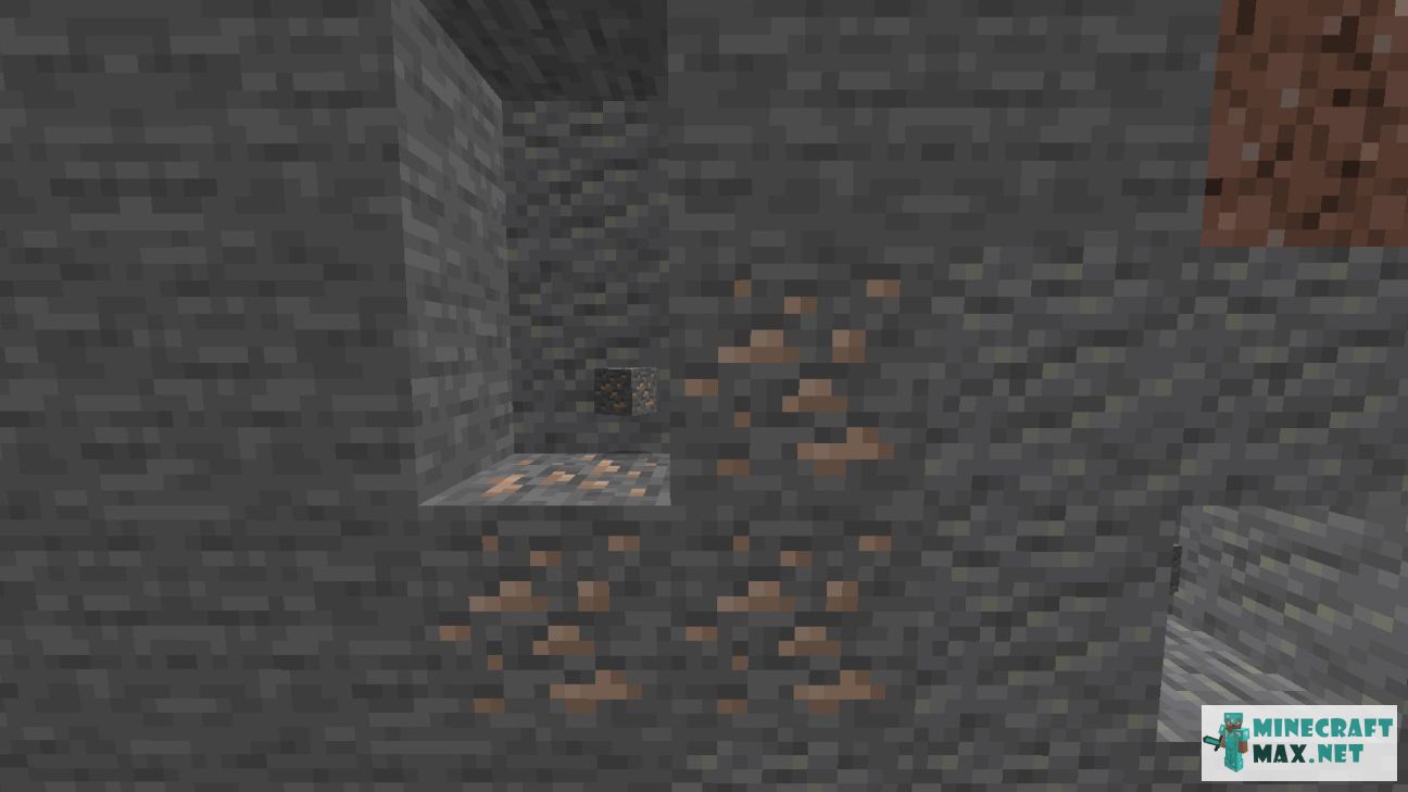 Black gem in Minecraft | Screenshot 454