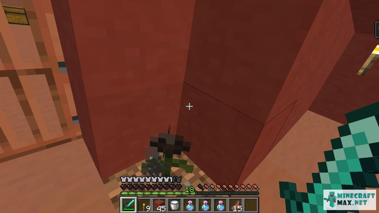 Black gem in Minecraft | Screenshot 2089