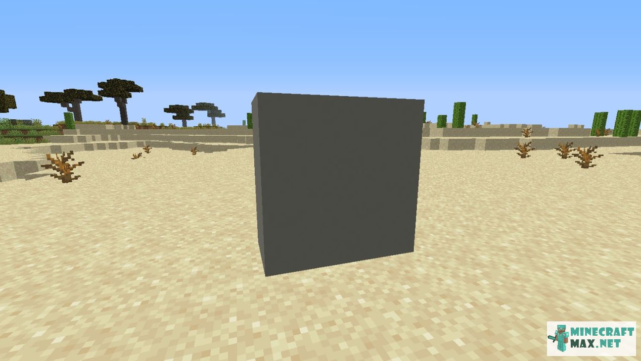 Black gem in Minecraft | Screenshot 2711