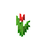 Как сделать красный тюльпан в Minecraft