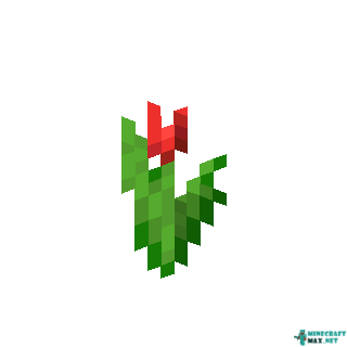 Red Tulip in Minecraft