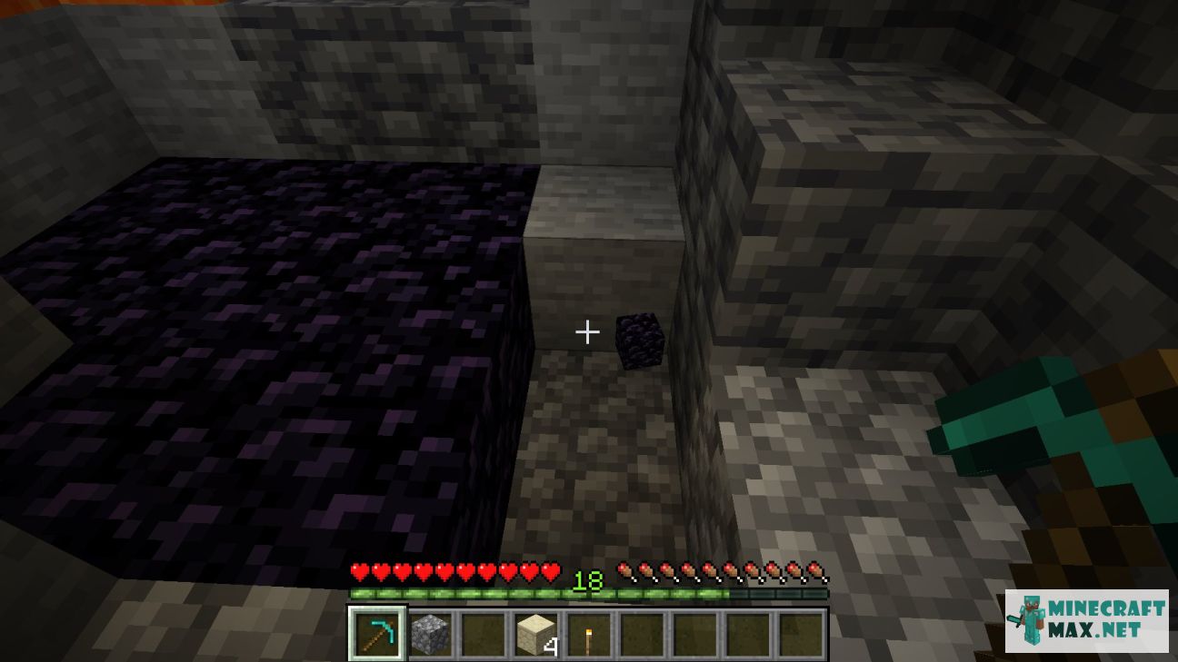 Black gem in Minecraft | Screenshot 520