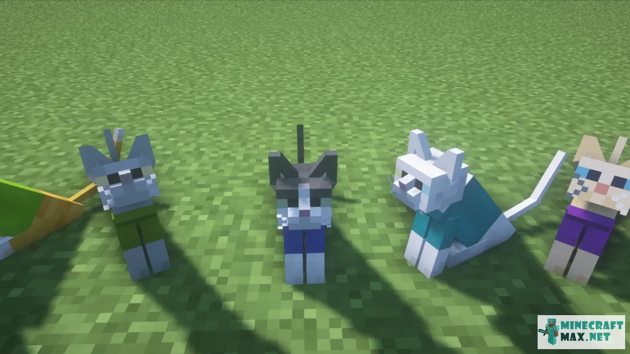 Cuter Cats | Download texture for Minecraft: 1