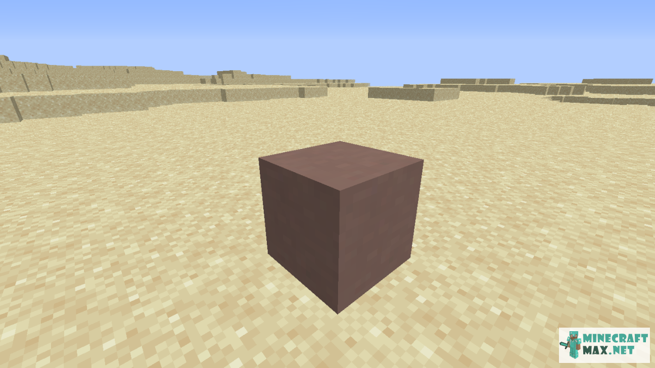 Black gem in Minecraft | Screenshot 1094