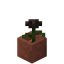 Potted Wither Rose in Minecraft