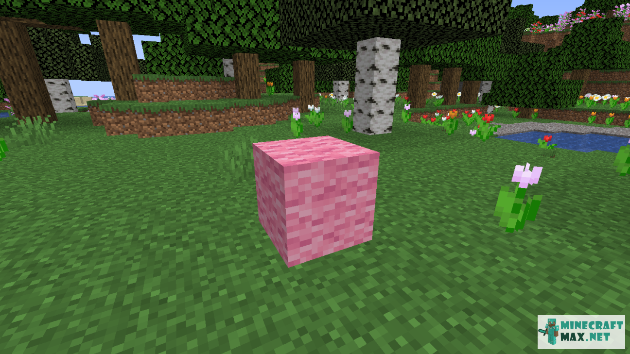 Modem in Minecraft | Screenshot 1184