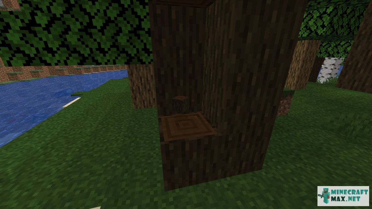 Dark Oak Fence Gate in Minecraft | Screenshot 3