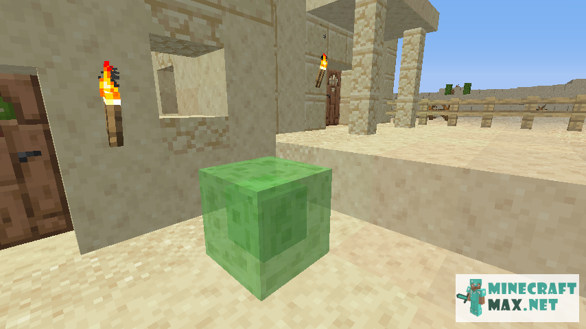 Black gem in Minecraft | Screenshot 609