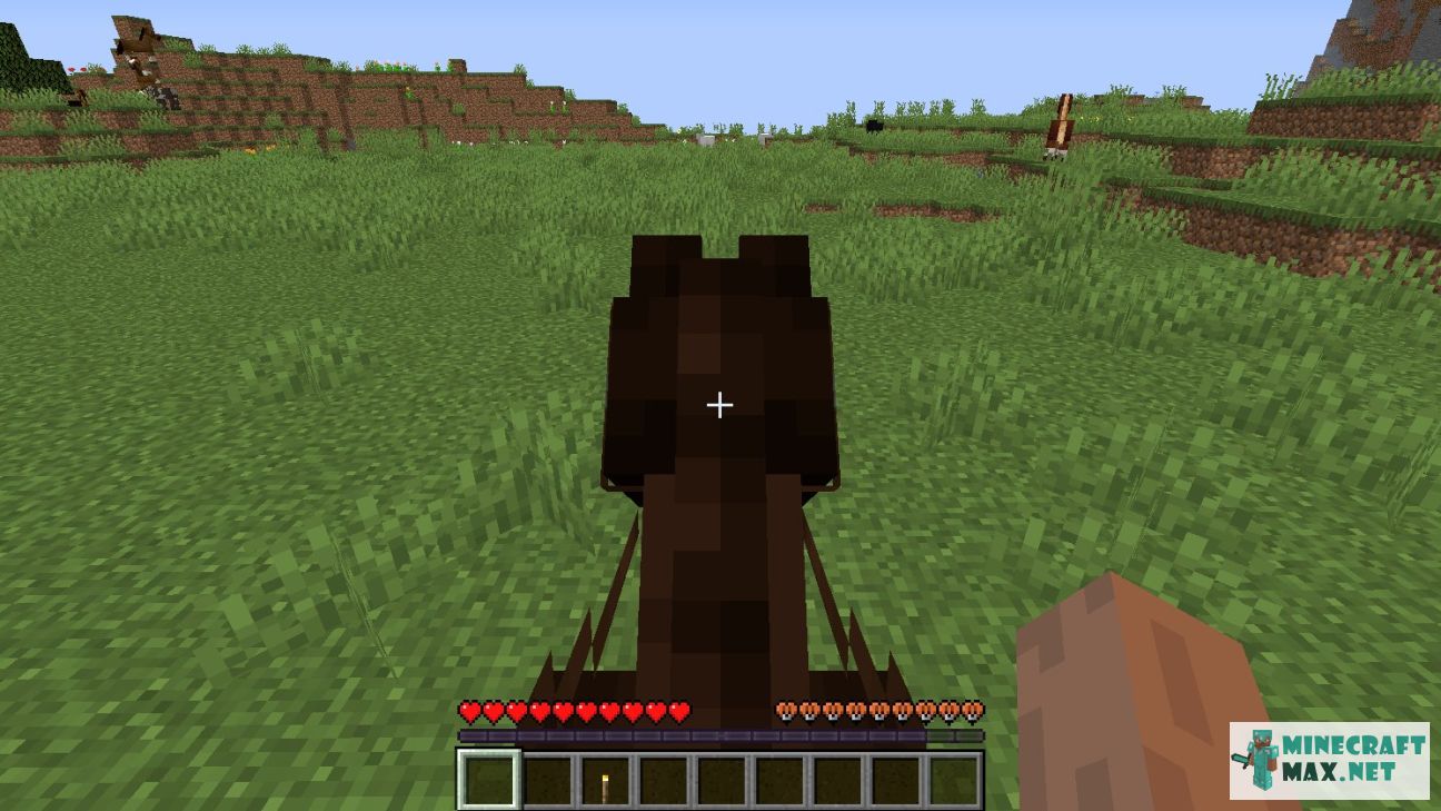 Modem in Minecraft | Screenshot 808