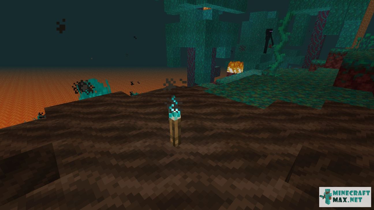 Black gem in Minecraft | Screenshot 2010