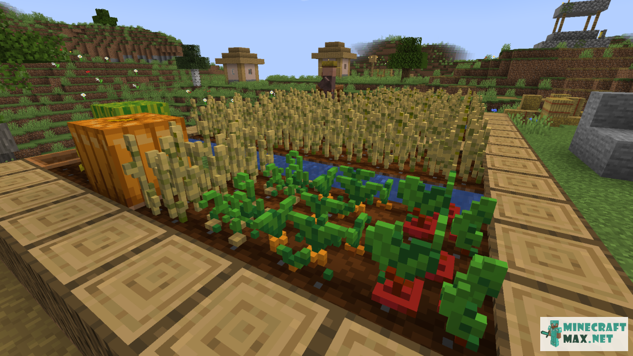 Botany's 3D Crops | Download texture for Minecraft: 1