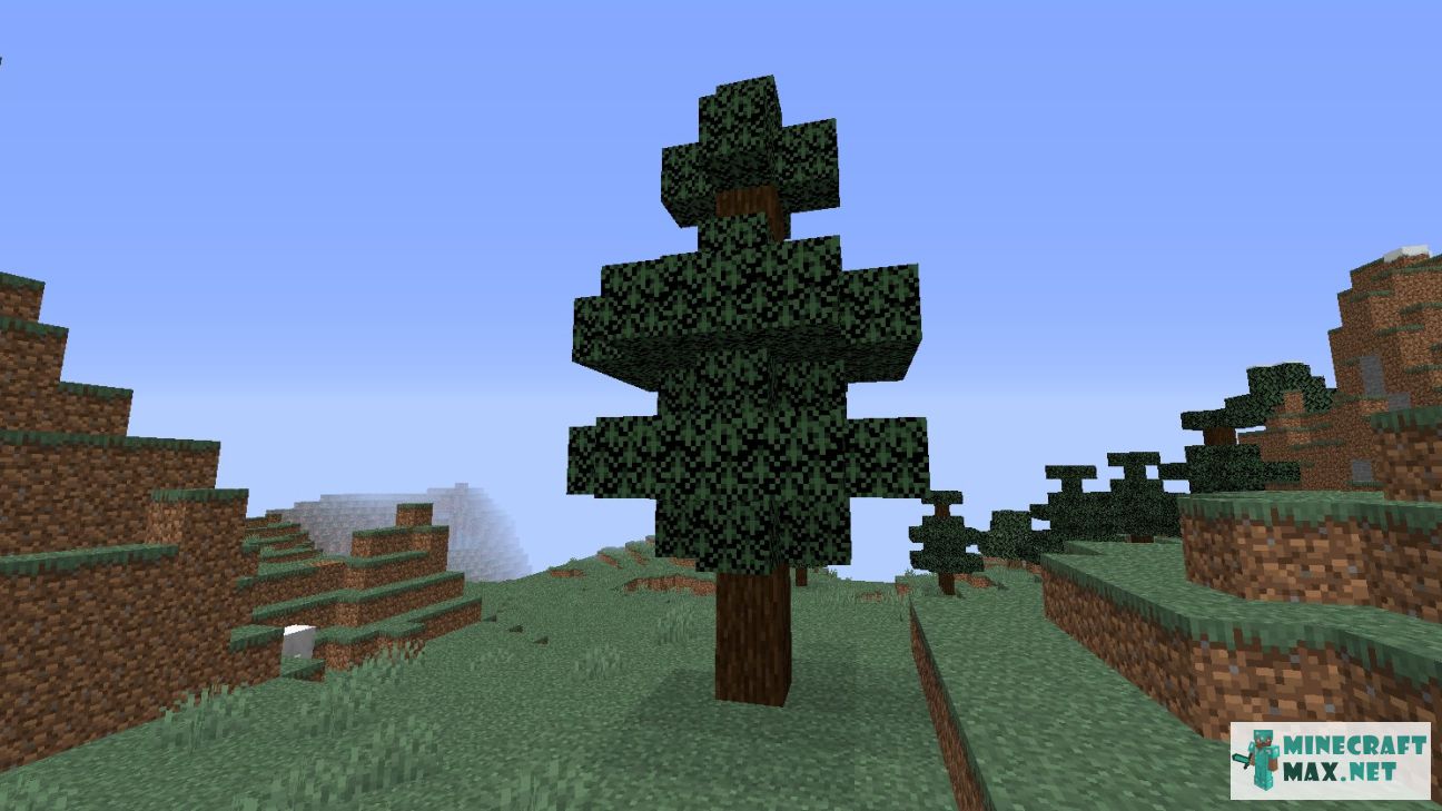Spruce Fence in Minecraft | Screenshot 3