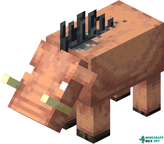 Hoglin in Minecraft