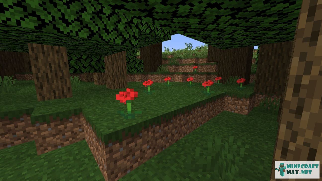 Modem in Minecraft | Screenshot 492