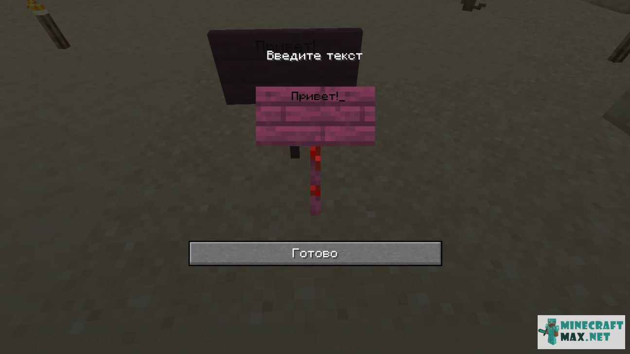 Black gem in Minecraft | Screenshot 2770