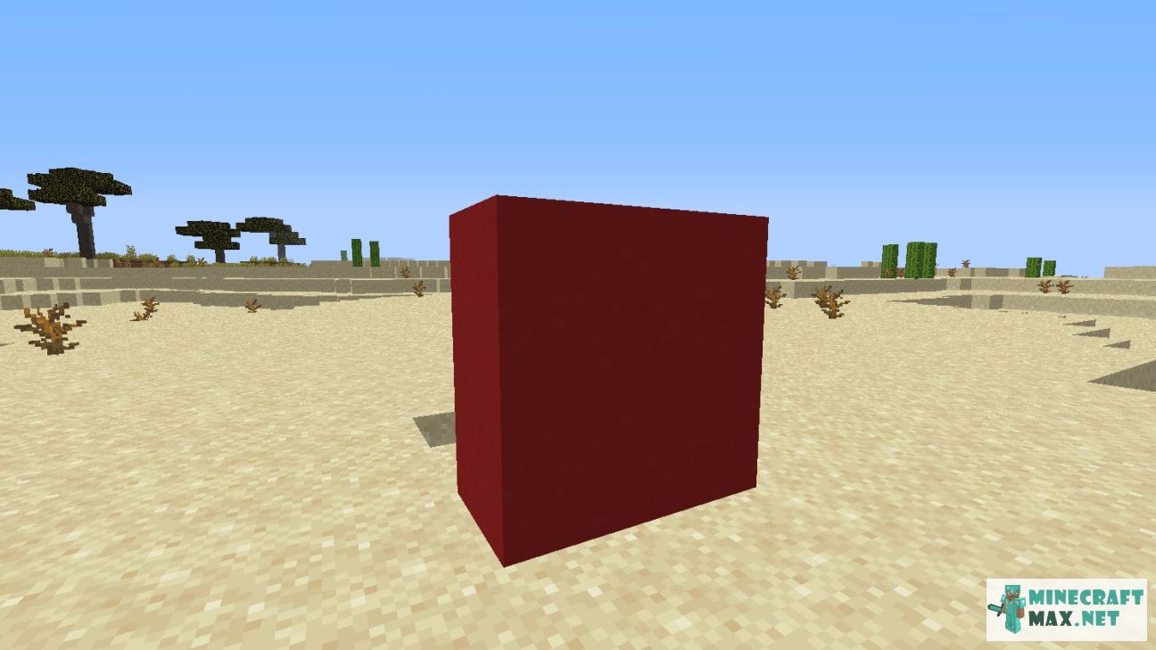 Black gem in Minecraft | Screenshot 2734