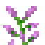 Lilac in Minecraft