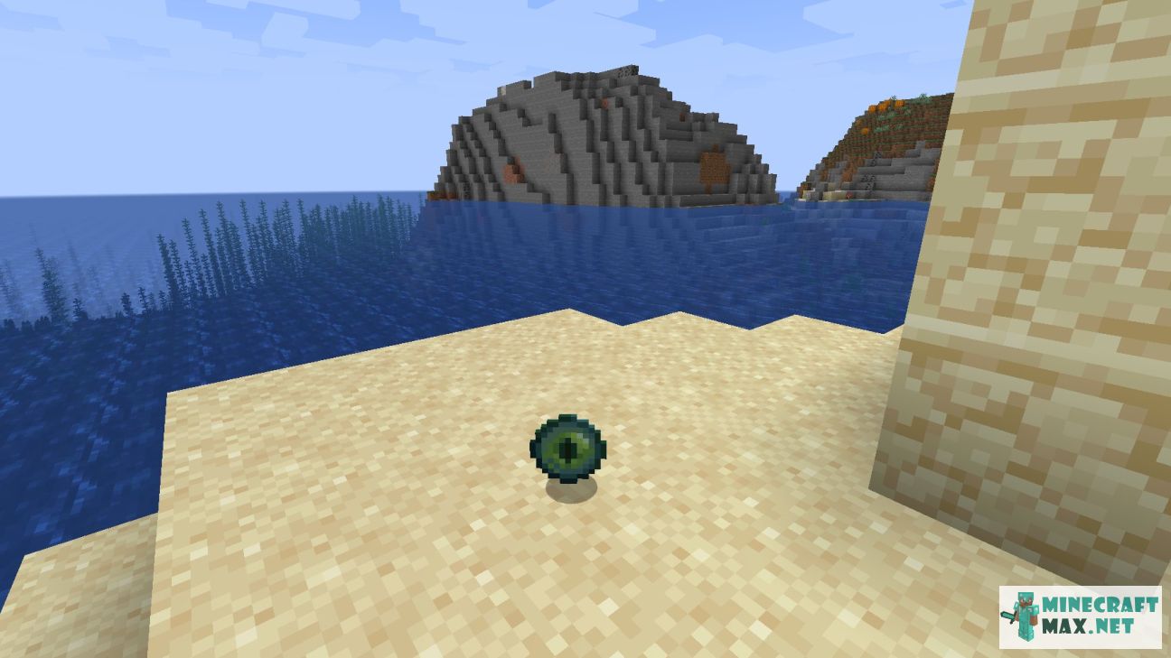 Black gem in Minecraft | Screenshot 258