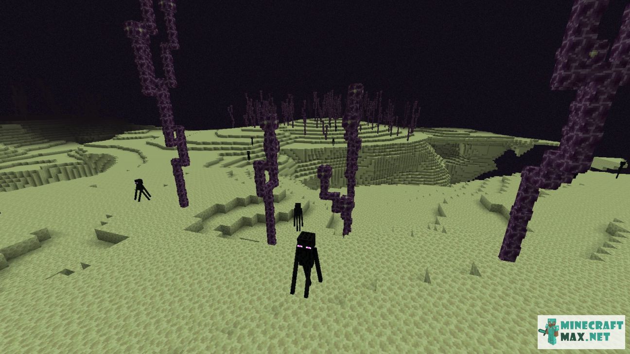 Black gem in Minecraft | Screenshot 3538
