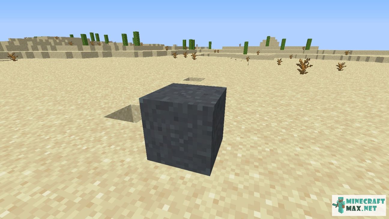 Black gem in Minecraft | Screenshot 2700