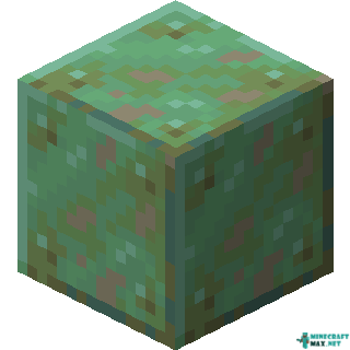 Weathered Copper in Minecraft