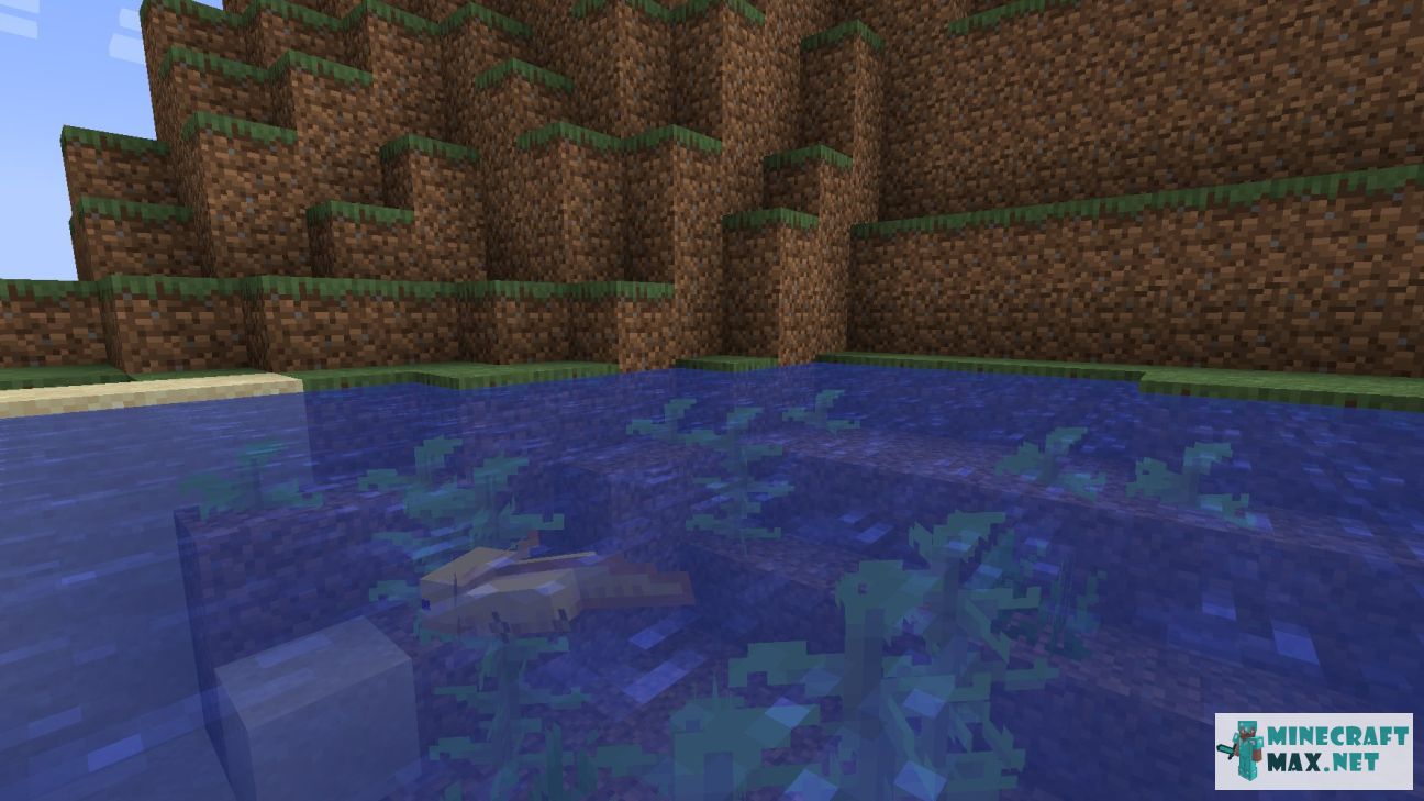 Bucket of Axolotl in Minecraft | Screenshot 3