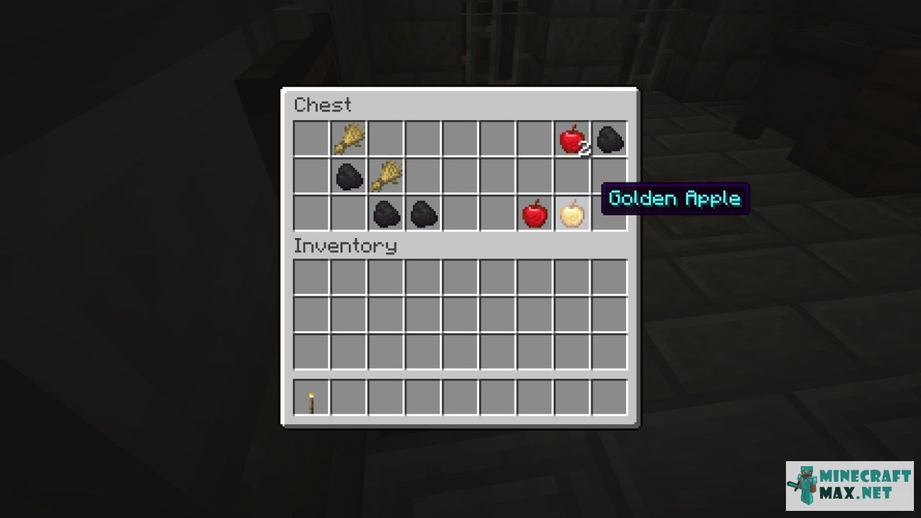 Black gem in Minecraft | Screenshot 1646