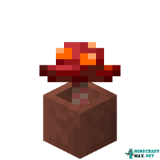 Potted Crimson Fungus in Minecraft