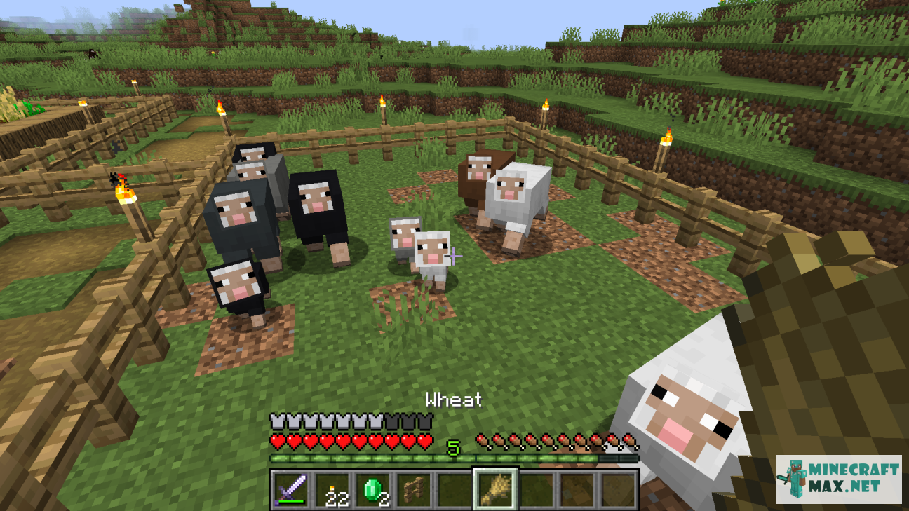 Get a flock of sheep of all colors | Quests for Minecraft