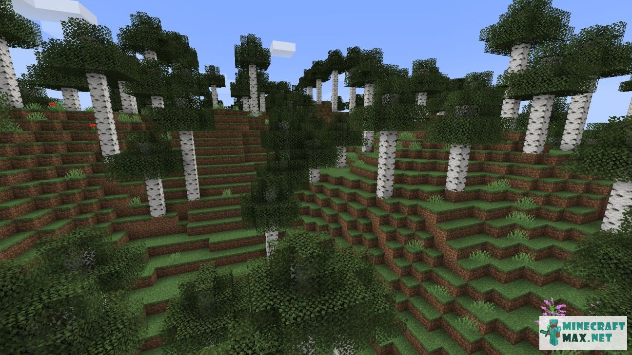 Modem in Minecraft | Screenshot 3595