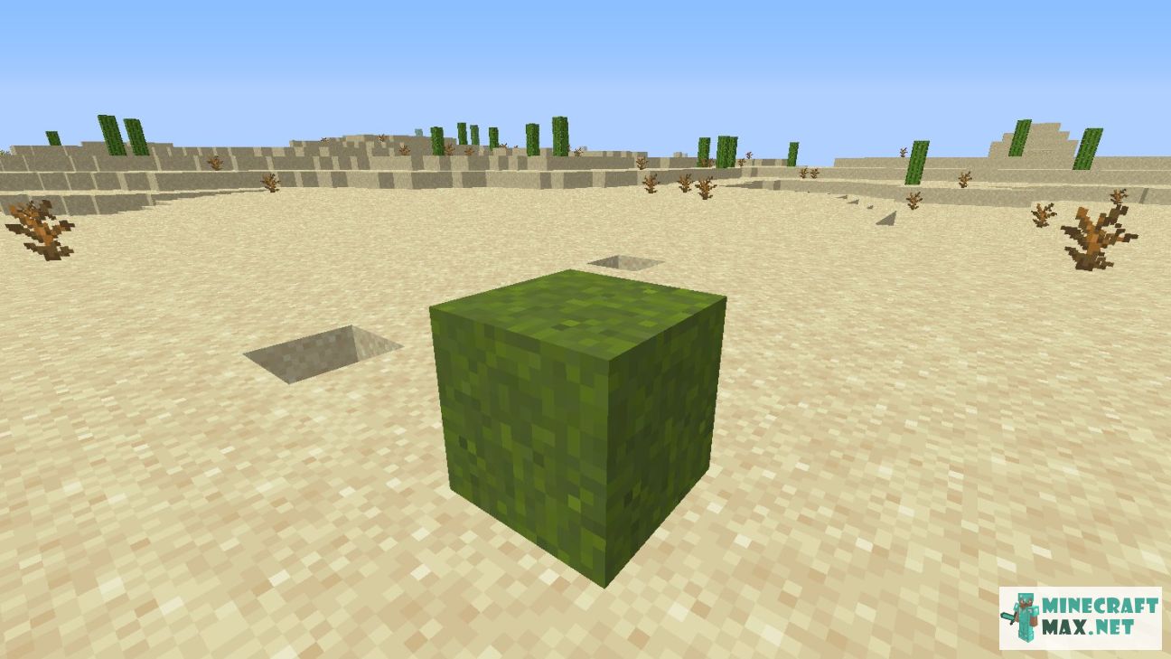 Black gem in Minecraft | Screenshot 2704